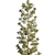 Mast Pine Options: Premium 3D Model. 3D model small image 3