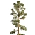 Mast Pine Options: Premium 3D Model. 3D model small image 4