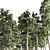 Tall Pines Collection: 4 Stunning Trees 3D model small image 5