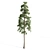 Russian Pine Tree: 4 Pines for a Serene Landscape 3D model small image 3