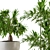  Green Oasis: Indoor Plant Set 3D model small image 3