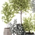 Exotic Eucalyptus Tree Set 3D model small image 2