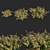 Abelia x Grandiflora OP3: Stunning Floral 3D Model 3D model small image 3
