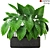 294 Plant Collection: Lush and Vibrant Greenery 3D model small image 1