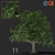 Versatile 3D Tree Model 3D model small image 1