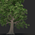 Versatile 3D Tree Model 3D model small image 3