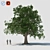 Versatile 3D Tree Model 3D model small image 5