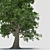 Versatile 3D Tree Model 3D model small image 8