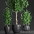 Tropical Plant Collection: Exotic Indoor Ficus Benjamin Trees 3D model small image 2