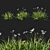 Luxury Dietes Grandiflora Grass: Stunning 2014 Design 3D model small image 1