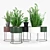 Round Plant Box: Versatile & Beautiful 3D model small image 2