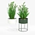 Round Plant Box: Versatile & Beautiful 3D model small image 3