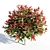 Colorful Photinia: Petite Shrub 3D model small image 5