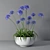  African Lily in Pot 3D model small image 1