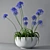  African Lily in Pot 3D model small image 2