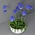  African Lily in Pot 3D model small image 3