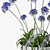  African Lily in Pot 3D model small image 5