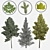 Lifelike Arboreal Collection 3D model small image 2