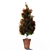 Mini Red Robin Photinia - Potted 3D model small image 3