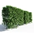 Lush Green Hornbeam Hedge 3D model small image 3