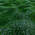 Bryozo Lawn: Corona Scatter-Enabled 20x20m Meadow 3D model small image 3