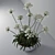 African Lily in Pot 3D model small image 3