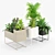 Premium Plant Box for Large Spaces 3D model small image 2