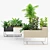 Premium Plant Box for Large Spaces 3D model small image 4
