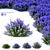 Nepeta Fassenii Catcher | Unique Garden Ornament 3D model small image 1