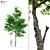 Mulberry Tree: A Natural Delight! 3D model small image 1