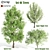 Polyglamorous Tree Trio 3D model small image 1