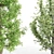 Polyglamorous Tree Trio 3D model small image 5