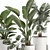Tropical Indoor Plant Collection 3D model small image 4