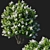 Elegant White Lilac Bush 3D model small image 1