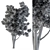 Title: Broadleaf N2 Tree Seeds 3D model small image 4
