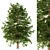 Evergreen Conifer Pine Tree 3D model small image 1