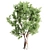 Diverse Tree Set | Oak, Eucalyptus, Aspen 3D model small image 2