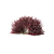 Thunberg Barberry Hedge | Vibrant Berberis Hedge 3D model small image 4