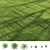 Lush Green Summer Grass 3D model small image 3