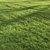 Lush Green Summer Grass 3D model small image 5