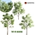 Tall Acacia Tree Set 3D model small image 1