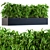 Hamedorea Interior Plant Box 3D model small image 1