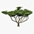 Elegant African Acacia Tree 3D model small image 3