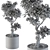 Indoor Bonsai Tree: Large and Lovely 3D model small image 3