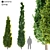 Double Cypress Tree: Elegant and Exquisite 3D model small image 1