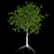 SwiftTree: Speed and Style! 3D model small image 1