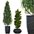 Pristine Pine Duo in Potted Perfection 3D model small image 2