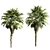 Tropical Oasis: Set of 6 Palms 3D model small image 2