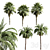 Tropical Oasis: Set of 6 Palms 3D model small image 7