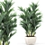 Tropical Palm Trio in White Pots 3D model small image 1